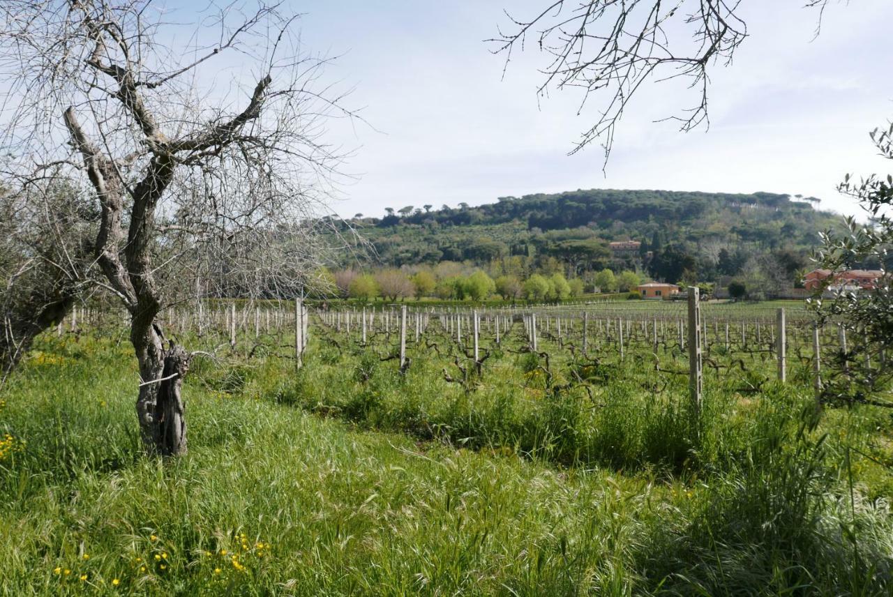 Villa Cavalletti Grottaferrata Zewnętrze zdjęcie